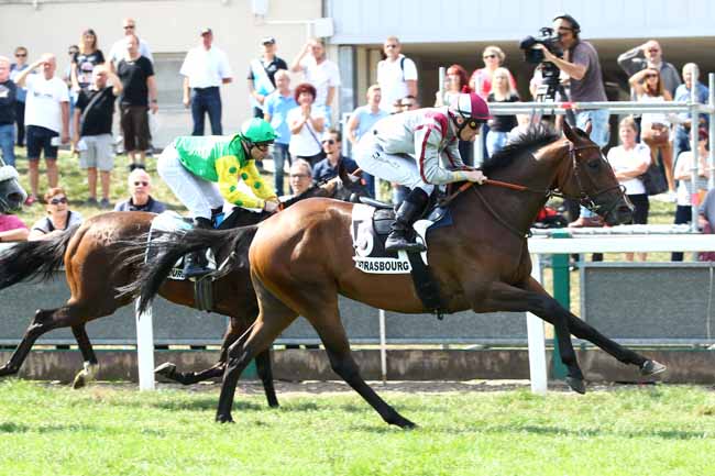 Photo d'arrivée de la course pmu PRIX DE L'EST REPUBLICAIN à STRASBOURG le Mardi 4 septembre 2018
