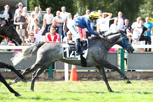 Photo d'arrivée de la course pmu PRIX DU SYNDICAT DES PROPRIETAIRES DE CHEVAUX DE COURSES à STRASBOURG le Mardi 4 septembre 2018