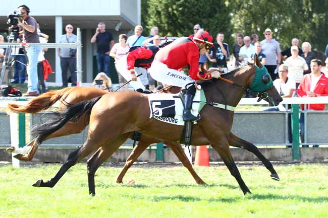 Photo d'arrivée de la course pmu PRIX DU POLE HIPPIQUE REGIONAL DE ROSIERES-AUX-SALINES à STRASBOURG le Mardi 4 septembre 2018