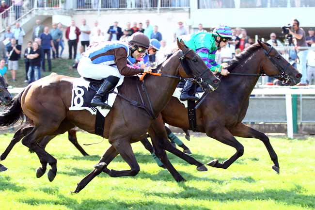 Photo d'arrivée de la course pmu PRIX FRANCE BLEU à STRASBOURG le Mardi 4 septembre 2018