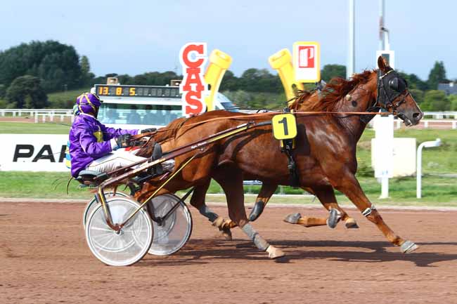 Photo d'arrivée de la course pmu PRIX BAR PMU LE RALLI PORNICHET à PORNICHET le Mercredi 5 septembre 2018
