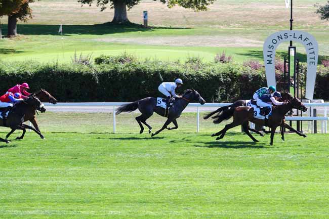 Photo d'arrivée de la course pmu PRIX DE NOISY-LE-ROI à MAISONS-LAFFITTE le Vendredi 7 septembre 2018