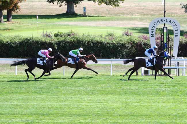 Photo d'arrivée de la course pmu PRIX DE LA CROIX DAUPHINE à MAISONS-LAFFITTE le Vendredi 7 septembre 2018