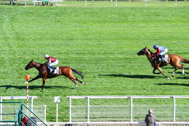 Photo d'arrivée de la course pmu L'EXPRESS à MAISONS-LAFFITTE le Vendredi 7 septembre 2018