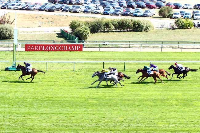 Photo d'arrivée de la course pmu PRIX DE VIVIENNE à LONGCHAMP le Dimanche 9 septembre 2018