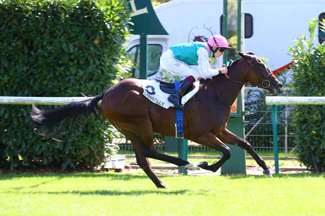 Photo d'arrivée de la course pmu PRIX DE VINEUIL à CHANTILLY le Lundi 10 septembre 2018