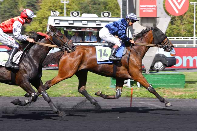 Photo d'arrivée de la course pmu PRIX DE DURBAN à PARIS-VINCENNES le Lundi 10 septembre 2018