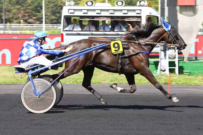 Photo d'arrivée de la course pmu PRIX DE SAINT-GAUDENS à PARIS-VINCENNES le Lundi 10 septembre 2018