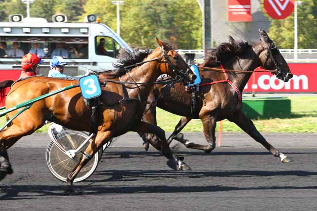 Photo d'arrivée de la course pmu PRIX D'ASNIERES à PARIS-VINCENNES le Lundi 10 septembre 2018