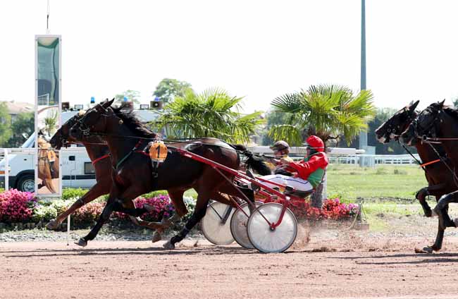 Photo d'arrivée de la course pmu PRIX BELLINO II à TOULOUSE le Mardi 11 septembre 2018