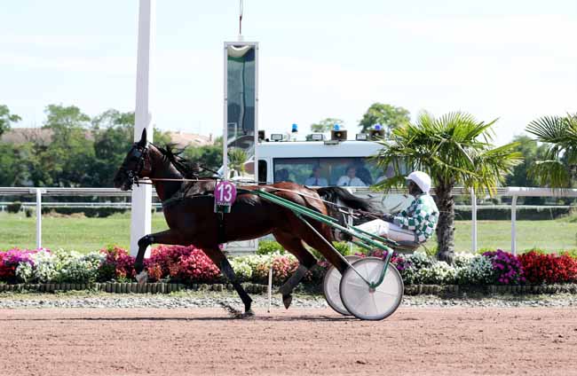 Photo d'arrivée de la course pmu PRIX R. CAZENAVE à TOULOUSE le Mardi 11 septembre 2018