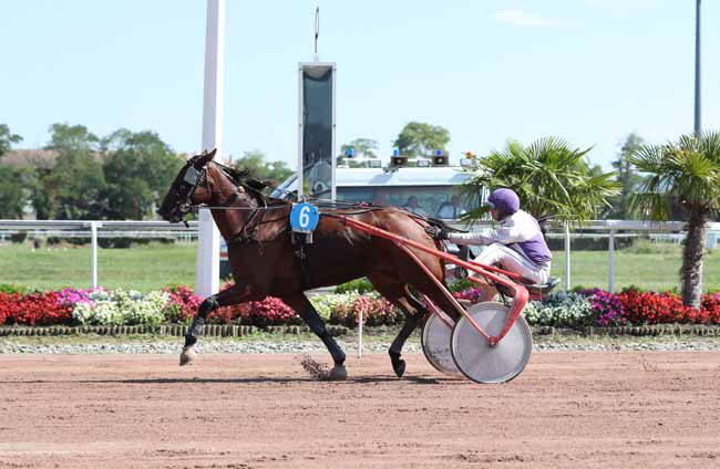 Photo d'arrivée de la course pmu PRIX MIGRAINE à TOULOUSE le Mardi 11 septembre 2018