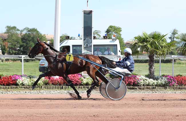 Photo d'arrivée de la course pmu PRIX ULSTER DU CADRAN à TOULOUSE le Mardi 11 septembre 2018