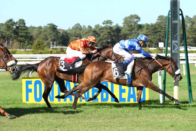 Photo d'arrivée de la course pmu PRIX DU BOIS NOTRE DAME à FONTAINEBLEAU le Mardi 11 septembre 2018