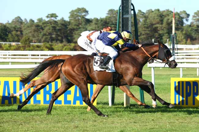 Photo d'arrivée de la course pmu PRIX DU PONT DE VALVINS à FONTAINEBLEAU le Mardi 11 septembre 2018