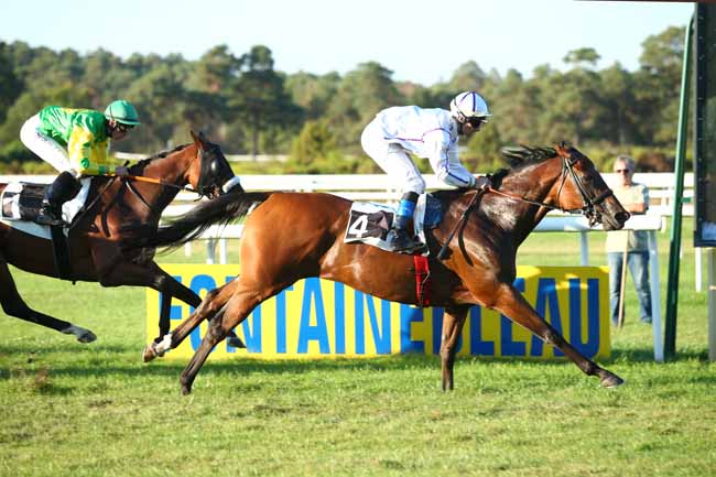 Photo d'arrivée de la course pmu PRIX DE LA CROIX DE VITRY à FONTAINEBLEAU le Mardi 11 septembre 2018