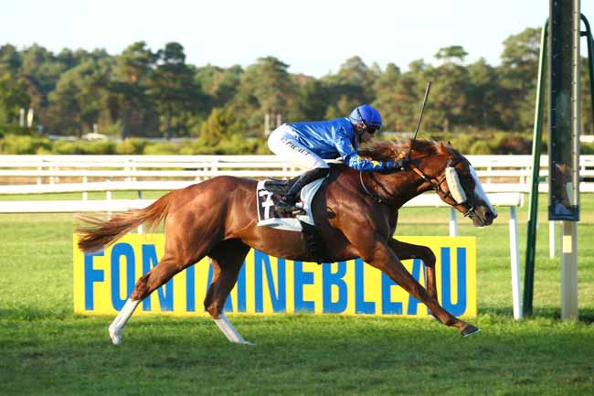 Photo d'arrivée de la course pmu PRIX DE LA LANDE DE BRUYERE à FONTAINEBLEAU le Mardi 11 septembre 2018