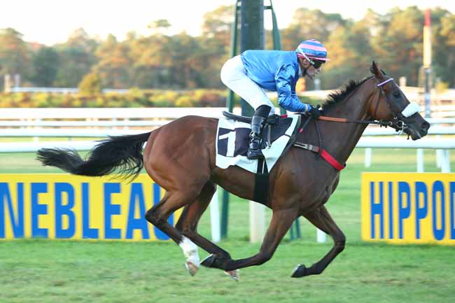 Photo d'arrivée de la course pmu PRIX GEORGES COURTOIS à FONTAINEBLEAU le Mardi 11 septembre 2018