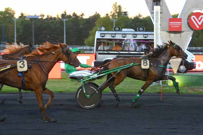 Photo d'arrivée de la course pmu PRIX CONCORDIA à PARIS-VINCENNES le Mardi 11 septembre 2018