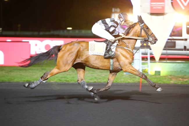 Photo d'arrivée de la course pmu PRIX MUSCA à PARIS-VINCENNES le Mardi 11 septembre 2018