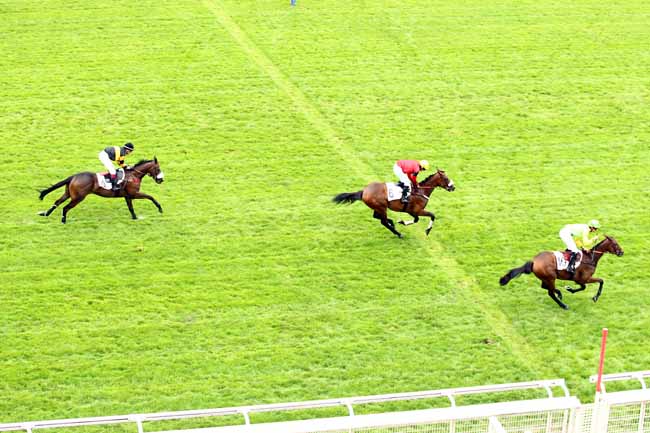 Photo d'arrivée de la course pmu PRIX FINOT (POULAINS) à AUTEUIL le Jeudi 13 septembre 2018