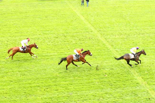 Photo d'arrivée de la course pmu PRIX ALAIN ET GILLES DE GOULAINE à AUTEUIL le Jeudi 13 septembre 2018