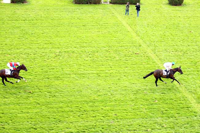 Photo d'arrivée de la course pmu PRIX PIERRE CYPRES à AUTEUIL le Jeudi 13 septembre 2018
