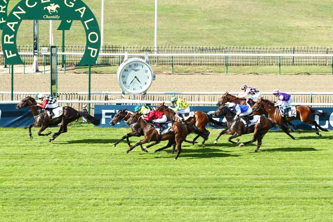 Photo d'arrivée de la course pmu PRIX DE LA RECONVERSION D'UN CHEVAL DE COURSES EN CHEVAL DE HORSE BALL à CHANTILLY le Samedi 15 septembre 2018
