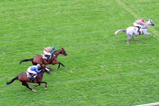 Photo d'arrivée de la course pmu PRIX D'ANGERS à AUTEUIL le Mardi 18 septembre 2018