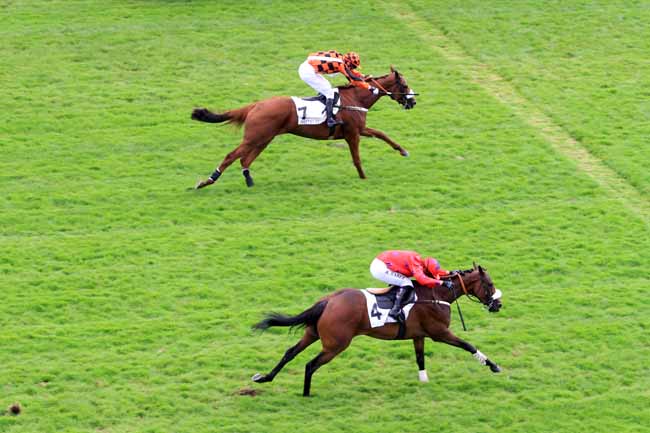 Photo d'arrivée de la course pmu PRIX SAPIN à AUTEUIL le Mardi 18 septembre 2018