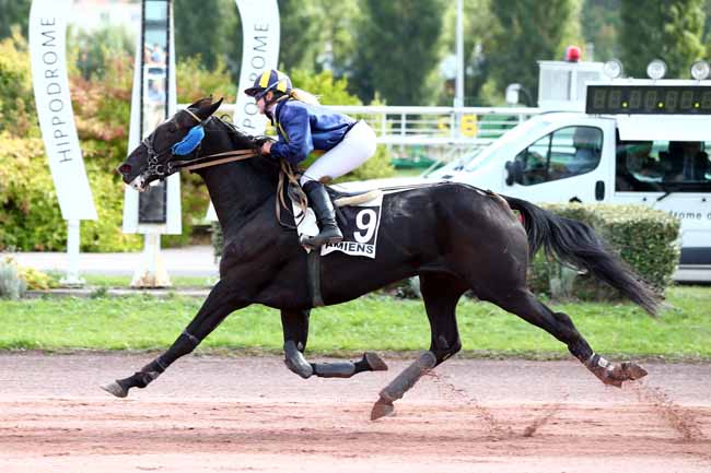 Photo d'arrivée de la course pmu PRIX DE SAINT LEU à AMIENS le Mercredi 19 septembre 2018
