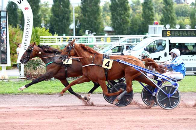 Photo d'arrivée de la course pmu GRAND PRIX DE LA FEDERATION REGIONALE à AMIENS le Mercredi 19 septembre 2018