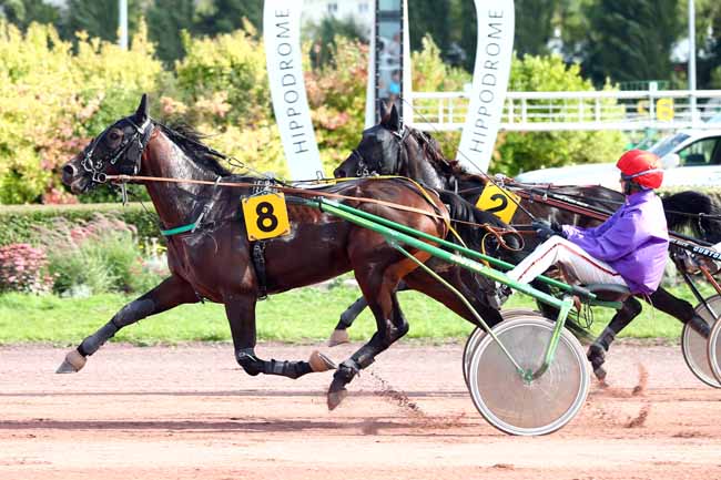 Photo d'arrivée de la course pmu PRIX JULES VERNE à AMIENS le Mercredi 19 septembre 2018