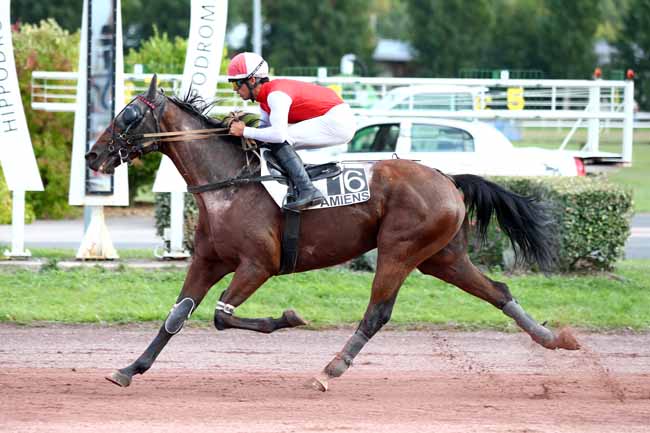 Photo d'arrivée de la course pmu PRIX DE LA TOUR PERRET à AMIENS le Mercredi 19 septembre 2018