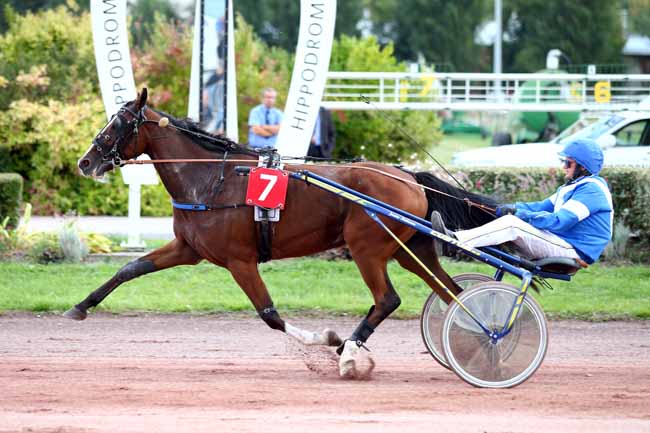 Photo d'arrivée de la course pmu PRIX MOET ET CHANDON à AMIENS le Mercredi 19 septembre 2018