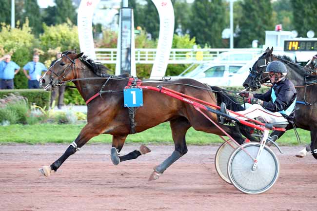 Photo d'arrivée de la course pmu PRIX DE LA CATHEDRALE à AMIENS le Mercredi 19 septembre 2018