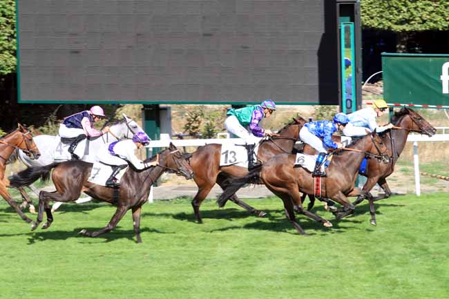 Photo d'arrivée de la course pmu PRIX TENEBREUSE à SAINT-CLOUD le Mercredi 19 septembre 2018