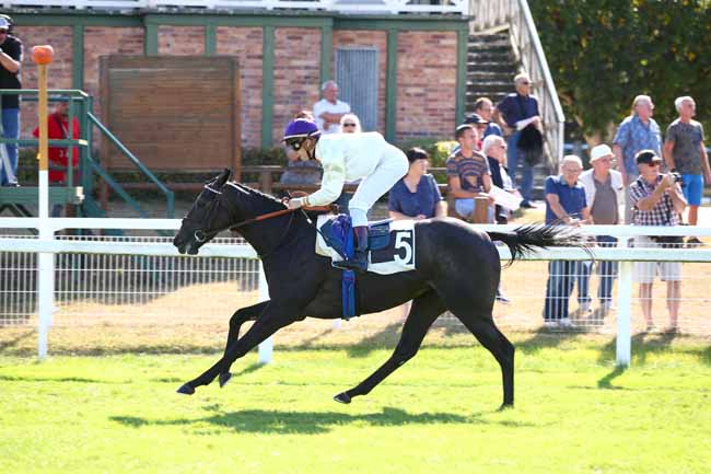 Photo d'arrivée de la course pmu PRIX DES ALISIERS à FONTAINEBLEAU le Jeudi 20 septembre 2018