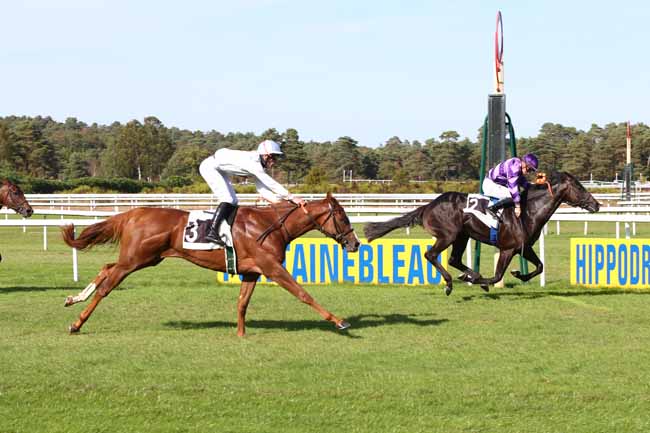 Photo d'arrivée de la course pmu PRIX DE LA CHAPELLE-LA-REINE à FONTAINEBLEAU le Jeudi 20 septembre 2018