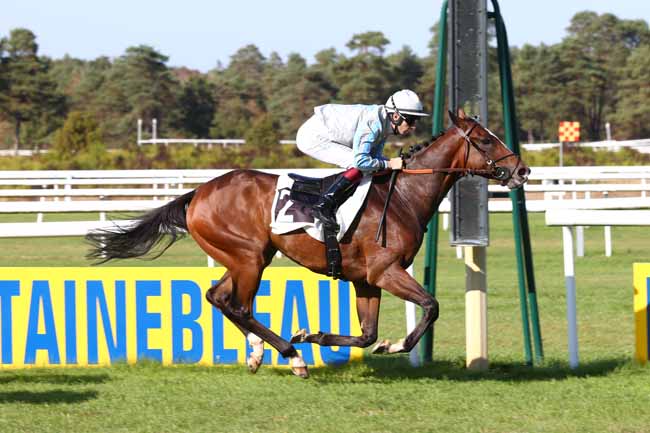 Photo d'arrivée de la course pmu PRIX DE LA PINEDE à FONTAINEBLEAU le Jeudi 20 septembre 2018