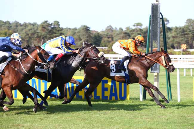 Photo d'arrivée de la course pmu PRIX DE LA SAPINIERE à FONTAINEBLEAU le Jeudi 20 septembre 2018