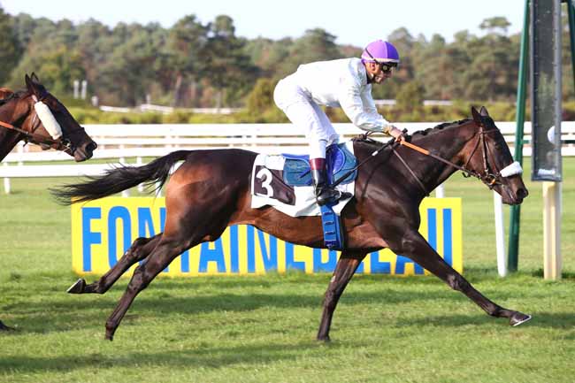 Photo d'arrivée de la course pmu PRIX DU COMITE DEPARTEMENTAL DU TOURISME DE SEINE-ET-MARNE à FONTAINEBLEAU le Jeudi 20 septembre 2018