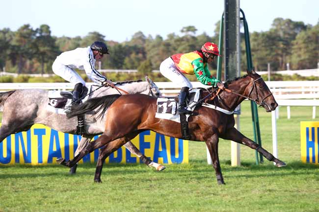 Photo d'arrivée de la course pmu PRIX JEAN GILLOIS à FONTAINEBLEAU le Jeudi 20 septembre 2018