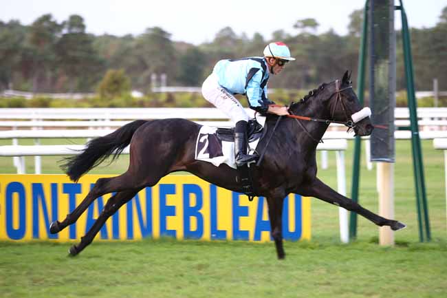 Photo d'arrivée de la course pmu PRIX BARON DE LA ROCHETTE à FONTAINEBLEAU le Jeudi 20 septembre 2018