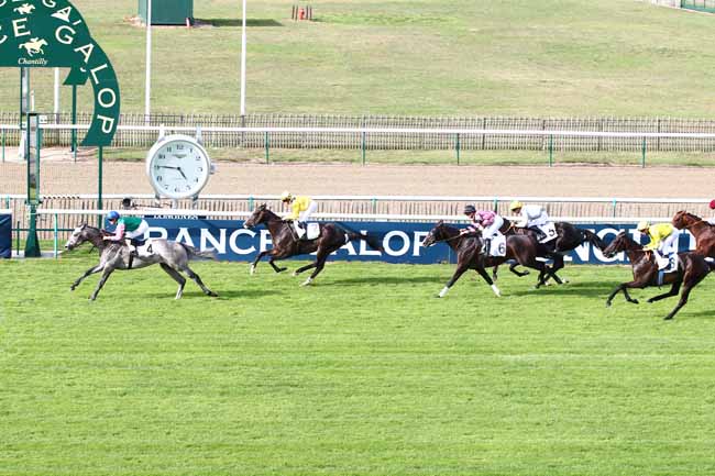 Photo d'arrivée de la course pmu PRIX DU JARDIN ANGLO-CHINOIS à CHANTILLY le Vendredi 21 septembre 2018