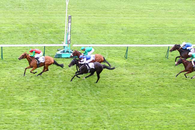 Photo d'arrivée de la course pmu PRIX BERTRAND DE TARRAGON à LONGCHAMP le Samedi 22 septembre 2018