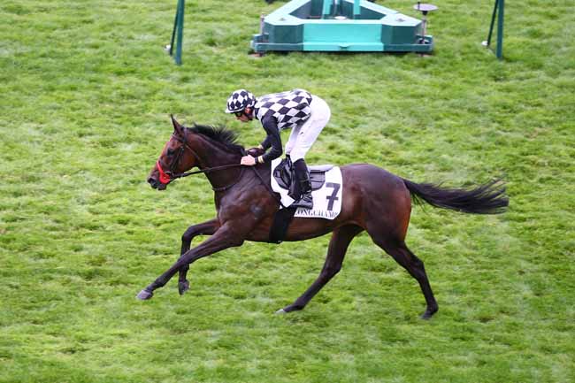 Photo d'arrivée de la course pmu PRIX DE LA VILLETTE à LONGCHAMP le Samedi 22 septembre 2018
