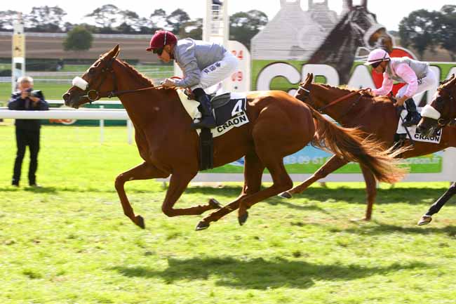 Photo d'arrivée de la course pmu PRIX DE LA COMMUNAUTE DE COMMUNES DU PAYS DE CRAON à CRAON le Lundi 24 septembre 2018
