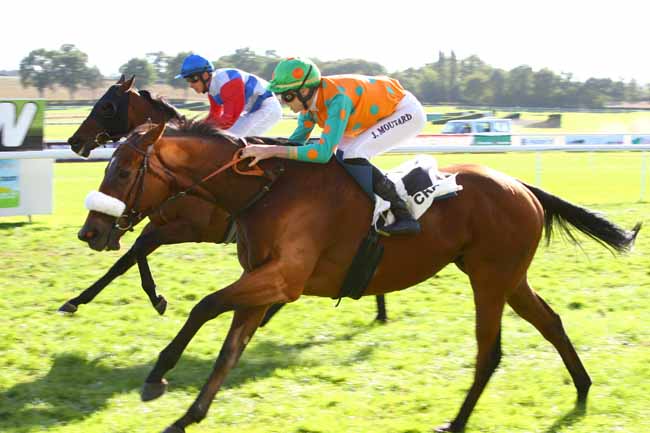 Photo d'arrivée de la course pmu PRIX ETS LESIEUR - PRIX DES JEUNES à CRAON le Lundi 24 septembre 2018