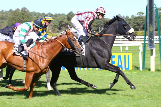 Photo d'arrivée de la course pmu PRIX ROLAND FOUGEDOIRE à FONTAINEBLEAU le Mardi 25 septembre 2018
